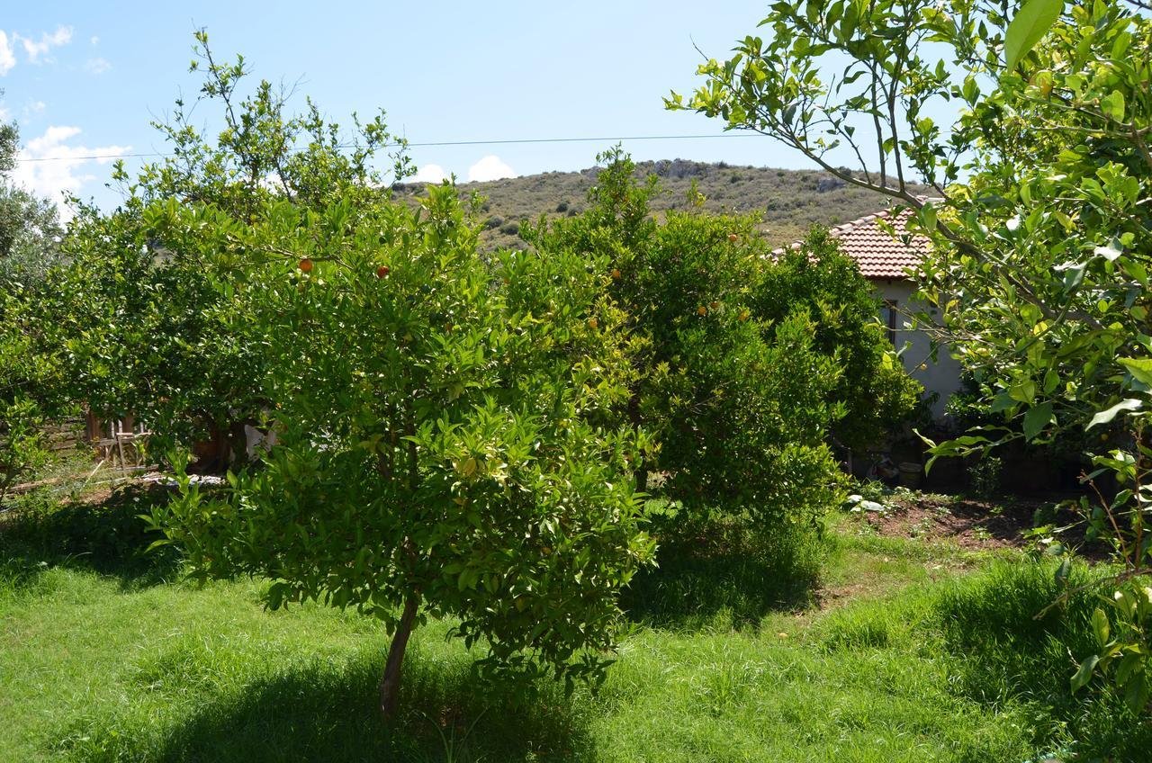 Ferienwohnung Beyoglu Pansiyon Patara Exterior foto